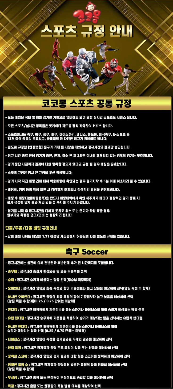 토지노코코몽♥️▷ 🔔 스포츠 규정 안내 🔔 ◁